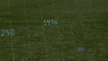 Sayısal verilerle şebeke ve çimenlik alan üzerindeki yüzdeler. Numaralar, istatistikler, analizler, veri görselleştirmesi, açık hava, bilgi