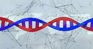 Ağ bağlantılarıyla dünya haritası üzerinde DNA ipliği animasyonu. Genetik, biyoloji, bilim, teknoloji, veri, küresel