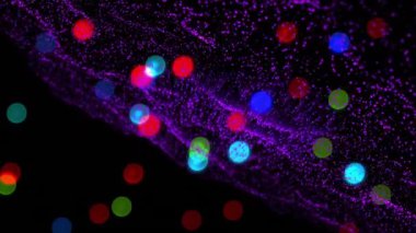 Renkli parçacıklar ve parlak küreler koyu arkaplanda hareket ediyor. Soyut, hareketli, enerjik, dinamik, enerji, aydınlatma