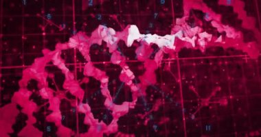 Kırmızı şebeke üzerinde DNA ipliği ve sayısal veri analizi animasyonu. Bilim, biyoteknoloji, genetik, araştırma, biyoloji, yenilik