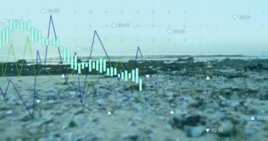 Rocky Beach 'in arka planında finansal veri haritası animasyonu. Finans, istatistik, analiz, deniz kenarı, doğa, teknoloji