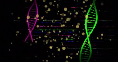 DNA iplikleri, parçacıklar, genetik araştırma animasyonu. Genetik, moleküler, bilim, laboratuvar, biyoteknoloji, genom kavramı
