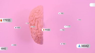 Bildirim simgeleri ve pembe arkaplan üzerinde numaralar olan beyin modeli. Nöroloji, beyin aktivitesi, bildirimler, dijital, soyut, teknoloji