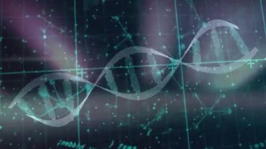 Şebeke arka planında DNA ipliği ve bilimsel veri işleme animasyonu. Bilim, teknoloji, biyoteknoloji, genetik, araştırma, laboratuvar.