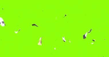 Yeşil arka planda konfeti animasyonu düşüyor. Kutlama, şenlik, parti, renkli, heyecanlı, neşeli