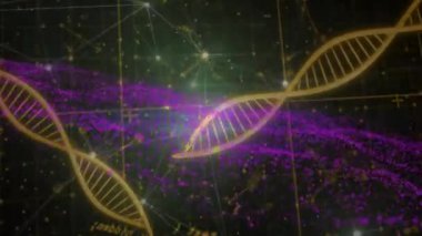 DNA iplikleri ve matematiksel denklemler bilimsel veri görselleştirmesi üzerine animasyon. Bilim, teknoloji, genetik, araştırma, biyoteknoloji, moleküller.