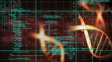 Şebeke arka planında DNA iplikleri ve kodlama dizileri canlandırılıyor. Genetik, animasyon, biyoteknoloji, sıralama, bilim, dijital