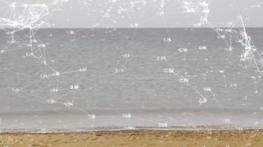 Bağlantılar ağı ve veri işleme animasyonu plaj ve okyanus üzerinde. Teknoloji, fütürist, dijital, ağ oluşturma