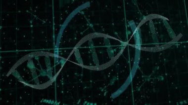 Dijital şebeke üzerinde DNA ipliği ve dairesel veri işleme animasyonu. Biyoteknoloji, moleküler, genom, biyoenformatik, veri analizi, fütürist