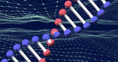DNA çift sarmal ve ağ bağlantılarını canlandırmak, bilimsel verileri görselleştirmek. Bilim, teknoloji, görselleştirme, biyoteknoloji, araştırma, genetik