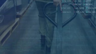 Depoda yürüyen, borsa veri animasyonuyla çevrili biri. İş, teknoloji, tüccar, analiz, finans, sanayi