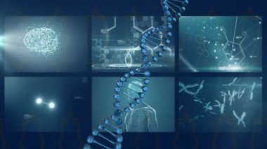 Bilimsel araştırma görselleri üzerinde DNA ipliği ve beyin aktivitesi animasyonu. Bilim, teknoloji, biyoloji, nörobilim, genetik, biyoloji.