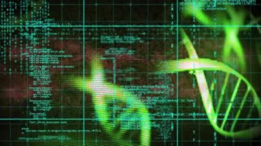 Şebeke arka planında DNA ipliği ve bilimsel veri işleme animasyonu. Genetik, biyoteknoloji, araştırma, analiz, bilim, laboratuvar konsepti