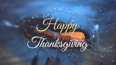 Mutlu Şükran Günü metin animasyonları, su sıçratma arkaplanı, neşeli ve canlı. Kutlama, renkli, tatil, neşeli, mevsimsel, selamlama