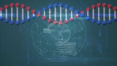 Bilimsel veriler, DNA dizileri ve ikili kodlama animasyonları işleniyor. Bilim, teknoloji, analiz, genetik, dijital, araştırma