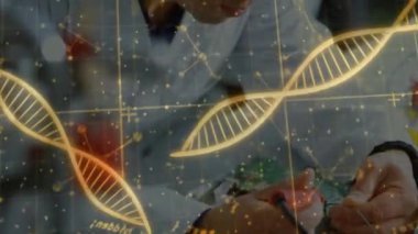 Laboratuvardaki araştırmacılar üzerinde DNA ipliği ve bilimsel veri işleme animasyonu. Bilim, biyoteknoloji, analiz, genetik, biyoenformatik, tıp