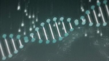 DNA ipliği ve ikili kodlama ile bilimsel veri işleme animasyonu. Teknoloji, bilim, dijital, araştırma, analiz