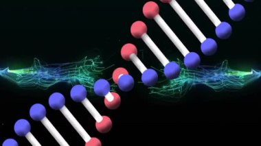 DNA çift sarmal ve veri işleme animasyonu koyu arkaplan üzerinde. Genetik, teknoloji, biyoenformatik, dijital, yenilik kavramı