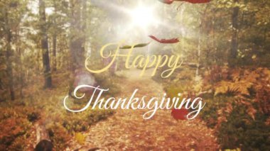 Mutlu Şükran Günü metinleri. Sonbahar orman yolunda güneş ışığı eşliğinde. Doğa, kutlama, tatil, sezon