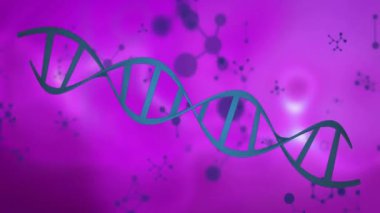 Mor arkaplan üzerinde DNA ipliği ve moleküler yapılar canlandırılıyor. Genetik, animasyon, biyoteknoloji, bilimsel, sağlık, araştırma