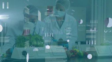 Laboratuvarda veri işleme animasyonu yapan laboratuvar önlüklü bilim adamları örnekleri inceliyor. Bilim, araştırma, teknoloji, analiz, yenilik, deney