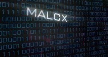 Dijital arkaplan üzerinde MALWARE metin animasyonu olan ikili kod. Siber güvenlik, teknoloji, siber saldırı, hackleme, virüs, tehdit