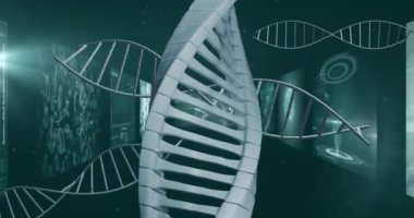 Dijital ekranlar üzerinde DNA ipliği ve bilimsel veri işleme animasyonu. Bilim, teknoloji, biyoteknoloji, genetik, araştırma, veri analizi