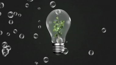 Yüzen baloncuklu ampulün içinde büyüyen bitki, çevre dostu enerji animasyonu. Sürdürülebilirlik, yenilik, doğa, yeşil, teknoloji, kavram