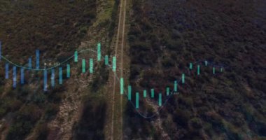 Finansal grafik ve veri analizi kırsal arazinin havadan görünüşü üzerine. Finans, yatırım, ekonomi, teknoloji, büyüme, görselleştirme