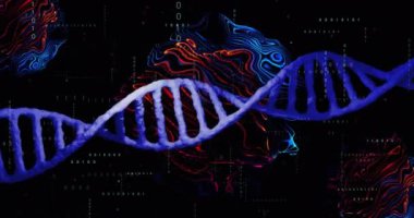 Siyah arka planda DNA ipliği ve veri işleme animasyonu. Teknoloji ve dijital arayüz kavramı dijital olarak oluşturuldu.