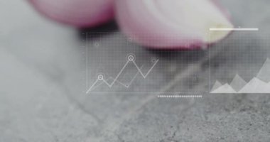 Dilimlenmiş kırmızı soğan üzerine grafik ve bar çizelgesi animasyonu. Veri görselleştirme, çubuk grafik, istatistik, bilgi, analiz, mor