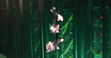 Sunucu raflarının üzerinde dijital gürültü animasyonu olan sterlin sembolü. Finans, teknoloji, para birimi, veri, ağ, yatırım