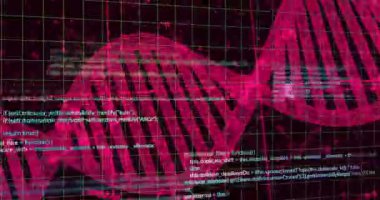 Siyah arkaplanda DNA ipliği üzerinde veri işleme animasyonu. Küresel teknoloji, bilim, bilgisayar ve dijital arayüz kavramı dijital olarak oluşturulmuş video.