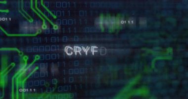 CRYPTO ikili kod ve devre kartı grafikleri üzerine metin animasyonu. Kripto para birimi, engelleme zinciri, dijital, finans, teknoloji, fütürist