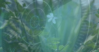 Yeşil bitkiler ve sayılar üzerinde radar animasyonu hedefleniyor. Teknoloji, yenilik, gözetim, doğa, fütüristik, siber güvenlik