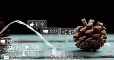 Sosyal medya bildirim simgeleri çam kozalağı ve su akışı üzerinde canlandırma. Teknoloji, bildirimler, dijital, bağlantı, kozalak, doğa