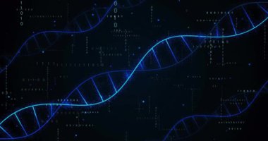 Siyah arka plandaki veri işleme üzerindeki DNA iplikçiklerinin animasyonu. Teknoloji ve dijital arayüz kavramı dijital olarak oluşturuldu.