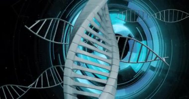 DNA dizisi ve ikili kodlama, bilimsel veri işleme animasyonu. Genetik, kod, bilim, teknoloji, biyoloji, araştırma