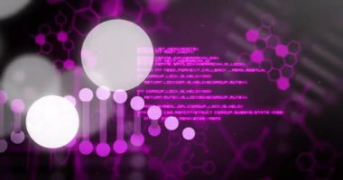 DNA ipliği ve moleküler yapılar mor arkaplan üzerinde animasyon. Bilim, biyoteknoloji, genetik, araştırma, laboratuvar, kimya