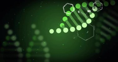 DNA ipliği ve moleküler yapılar yeşil arkaplan üzerinde animasyon. Biyoteknoloji, genetik, bilim, araştırma, biyoloji, sarmal