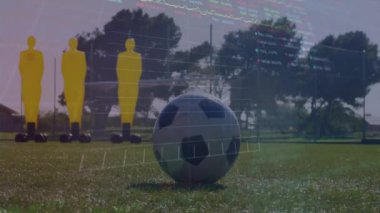 Spor performans analizi çimenlik alanda antrenman yapan atletlerin canlandırması. egzersiz, koçluk, fitness, izleme, refah, hareket