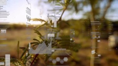 Doğanın arka planında ağaçlar ve güneş ışığıyla ilgili çizelgeler ve grafikler. Veri, analitik, teknoloji, büyüme, ilerleme, çevre