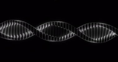 Siyah arkaplan üzerinde DNA ipliği ve sinirsel ağ animasyonu. Bilim, teknoloji, yapay zeka, veri, genetik, araştırma