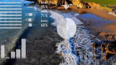 Veri analizi ve küresel ağ animasyonu dalgalı kıyı manzarası üzerinde. Teknoloji, büyük veriler, kıyı şeridi, okyanus, dijital, fütürist