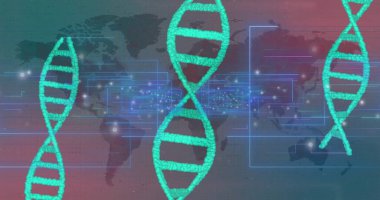Dünya haritasının üzerindeki DNA iplikçiklerinin resmi. Küresel bilim, araştırma, bağlantılar, hesaplama ve veri işleme kavramı dijital olarak oluşturuldu.