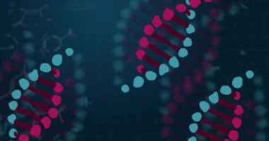 DNA iplikçikleri üzerinde kimyasal formülün animasyonu. Sosyal medya, teknoloji ve dijital arayüz kavramı dijital olarak oluşturulmuş video.