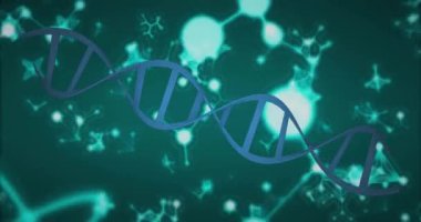 Siyah arka planda moleküllerin ve DNA iplikçiklerinin canlandırılması. Teknoloji, bilim ve dijital arayüz kavramı dijital olarak oluşturulmuş video.