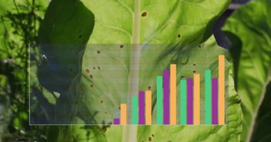 Yeşil yaprakların üzerindeki renkli diyagramların animasyonu. İş, doğa ve dijital arayüz kavramı dijital olarak oluşturulmuş video.