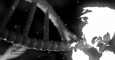 Siyah arkaplandaki veri işleme üzerinde DNA ipliği ve küresinin animasyonu. Teknoloji, bilim ve dijital arayüz kavramı dijital olarak oluşturulmuş video.