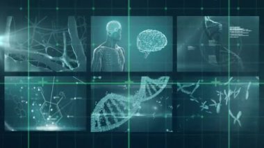 Mavi arka planda bilimsel verileri olan dijital ekranların animasyonu. Teknoloji, bilim ve dijital arayüz kavramı dijital olarak oluşturulmuş video.